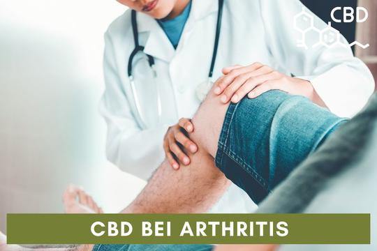 cbd cannabidiol bei arthritis