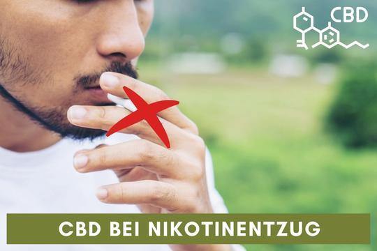 cannabidiol cbd nikotin entzug
