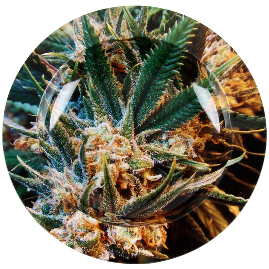 Aschenbecher Metall rund Cannabis Knolle Bud Pflanze harzig